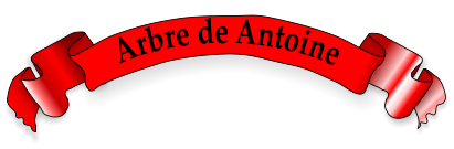 Arbre de Antoine