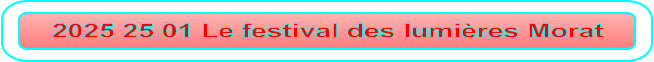 2025 25 01 Le festival des lumières Morat
