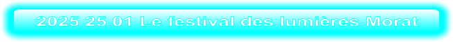 2025 25 01 Le festival des lumières Morat