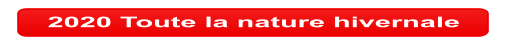 2020 Toute la nature hivernale