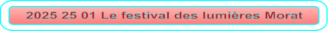 2025 25 01 Le festival des lumières Morat