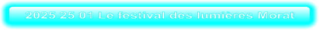 2025 25 01 Le festival des lumières Morat