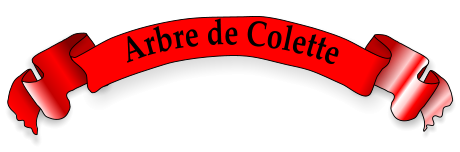 Arbre de Colette