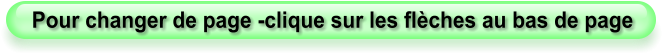 Pour changer de page -clique sur les flèches au bas de page