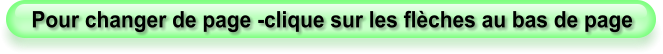 Pour changer de page -clique sur les flèches au bas de page