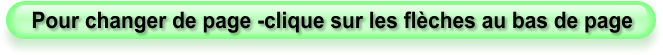 Pour changer de page -clique sur les flèches au bas de page