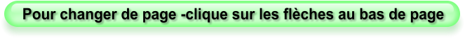 Pour changer de page -clique sur les flèches au bas de page
