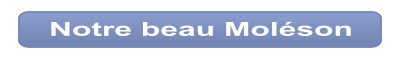 Notre beau Moléson
