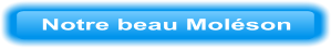 Notre beau Moléson
